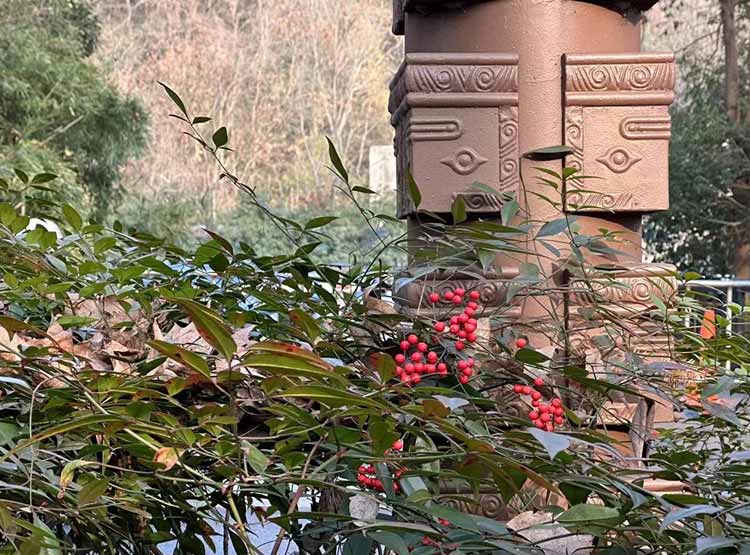 沈陽(yáng)文化墻設(shè)計(jì)的要點(diǎn)？